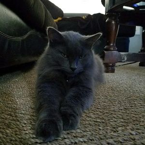 Meet your Posher, Micelle